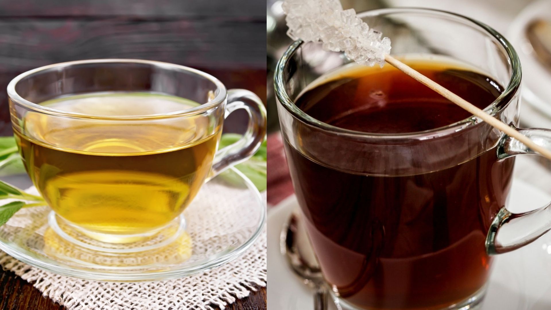 Green Tea versus Black Tea