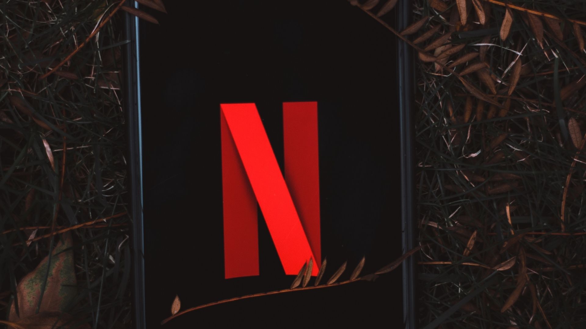 Netflix eliminates 150 US-based positions after losing subscribers