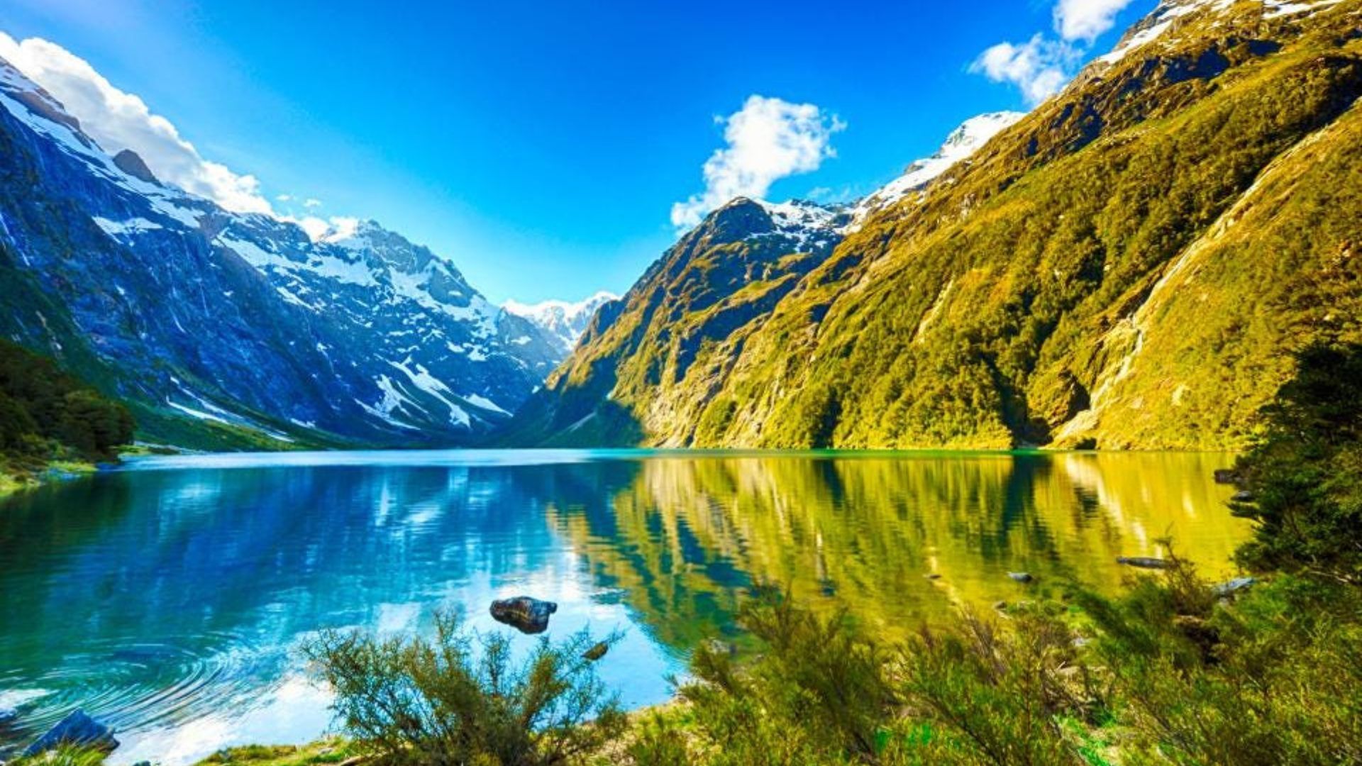 New Zealand returns to travellers following the two-year pandemic lockout