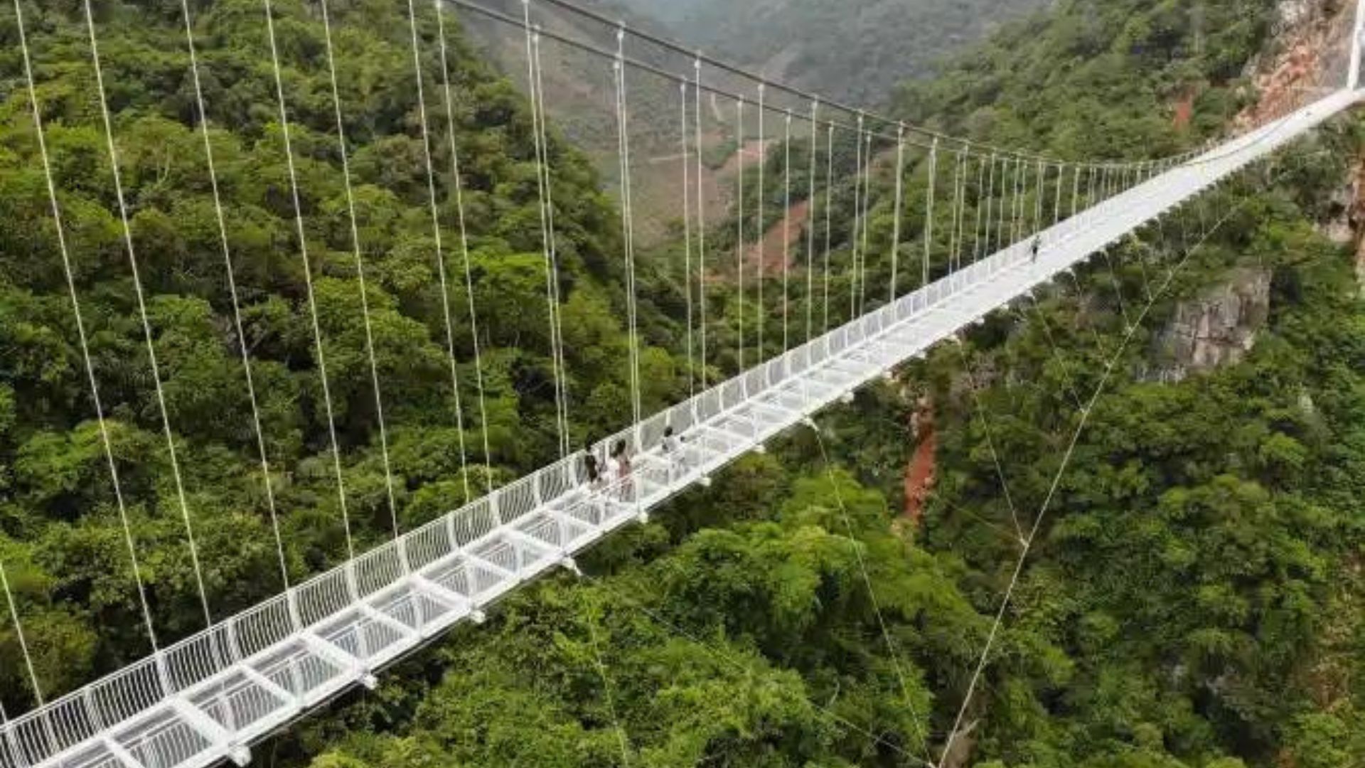 The longest glass base bridge in the world has opened to tourists