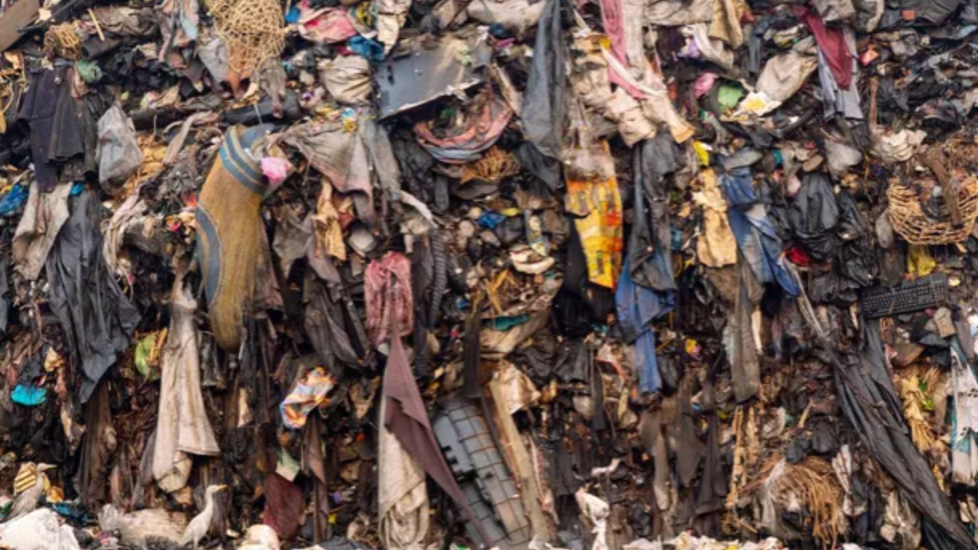 Shein promises $15m for textile waste labourers in Ghana