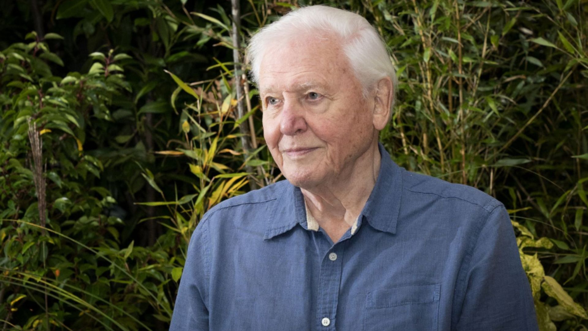Sir David Attenborough to be given the second knighthood