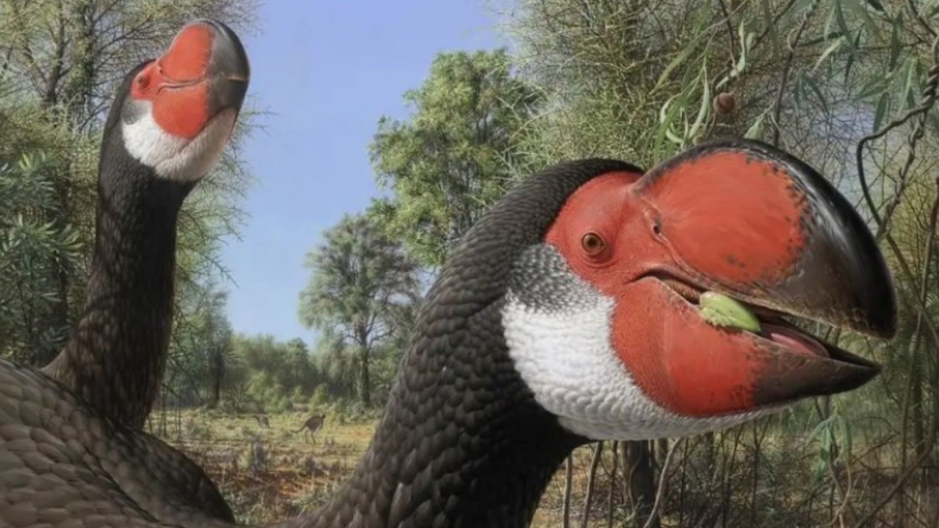 Australia's thunderbirds went extinct because of the inability to adjust